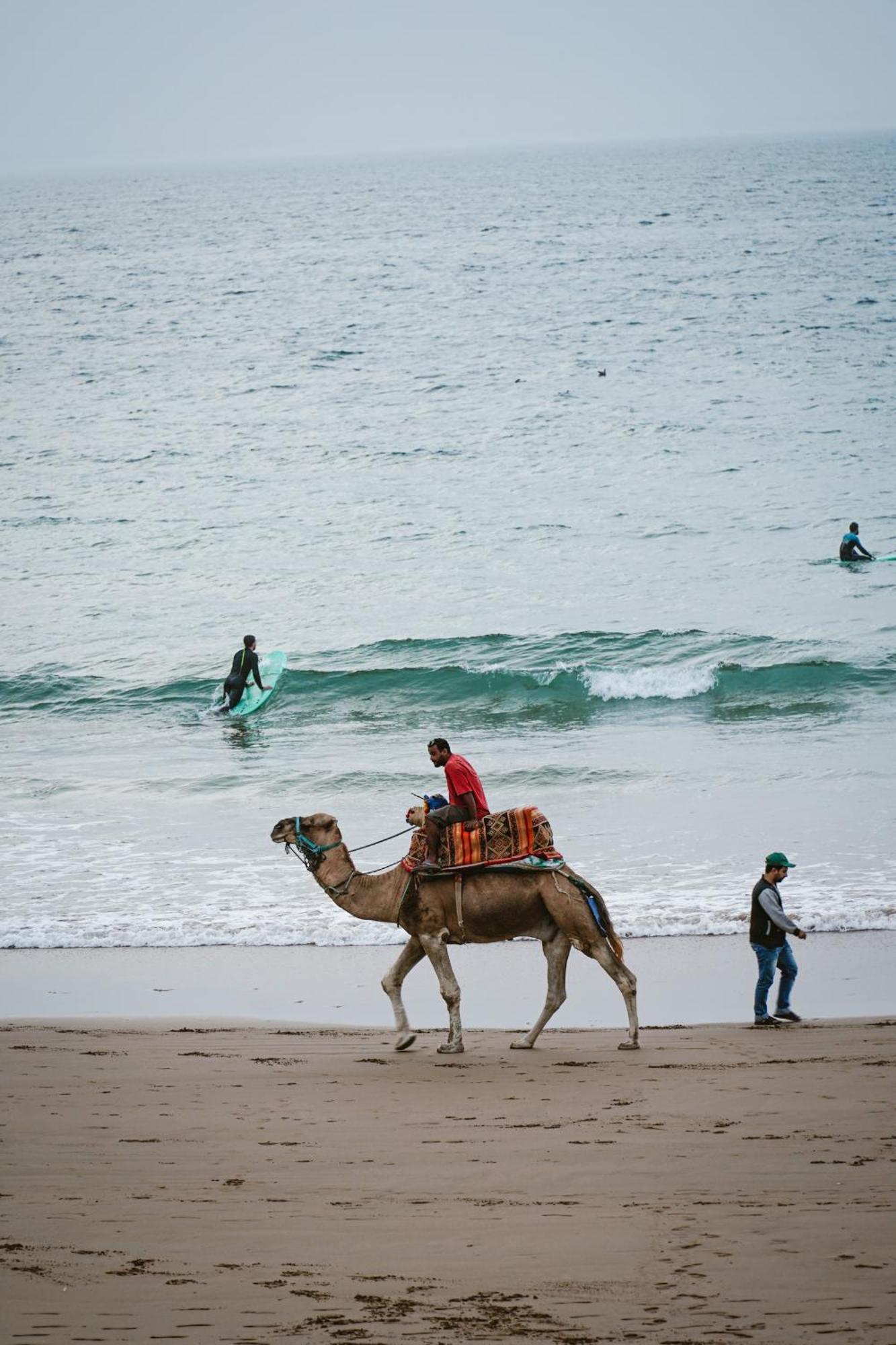 Dar Sultana Guesthouse Surf Morocco Tamraght Εξωτερικό φωτογραφία
